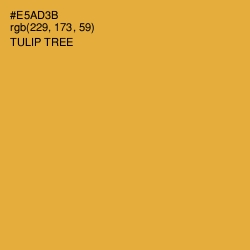 #E5AD3B - Tulip Tree Color Image